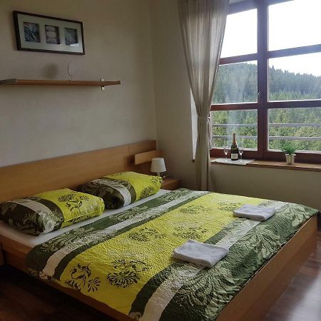 Vysokohorsky Apartman Cihlarka 派克波特斯耐兹库 外观 照片