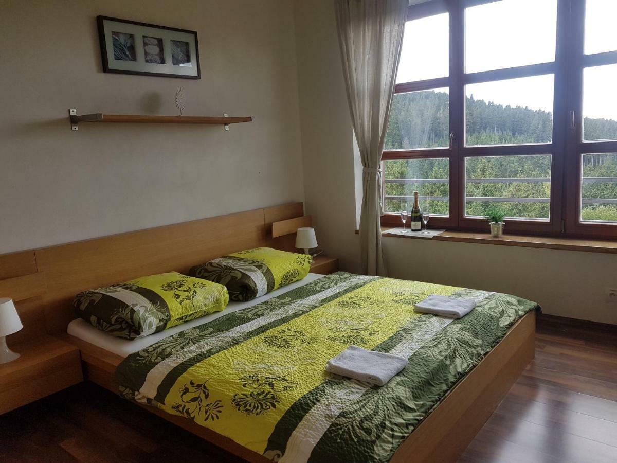 Vysokohorsky Apartman Cihlarka 派克波特斯耐兹库 外观 照片